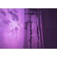 thumbnail image 1 of Ahgly Company Machine Washable Indoor Rectangle Transitional Purple Iris Purple Area Rugs, 7' x 10', 1 of 7