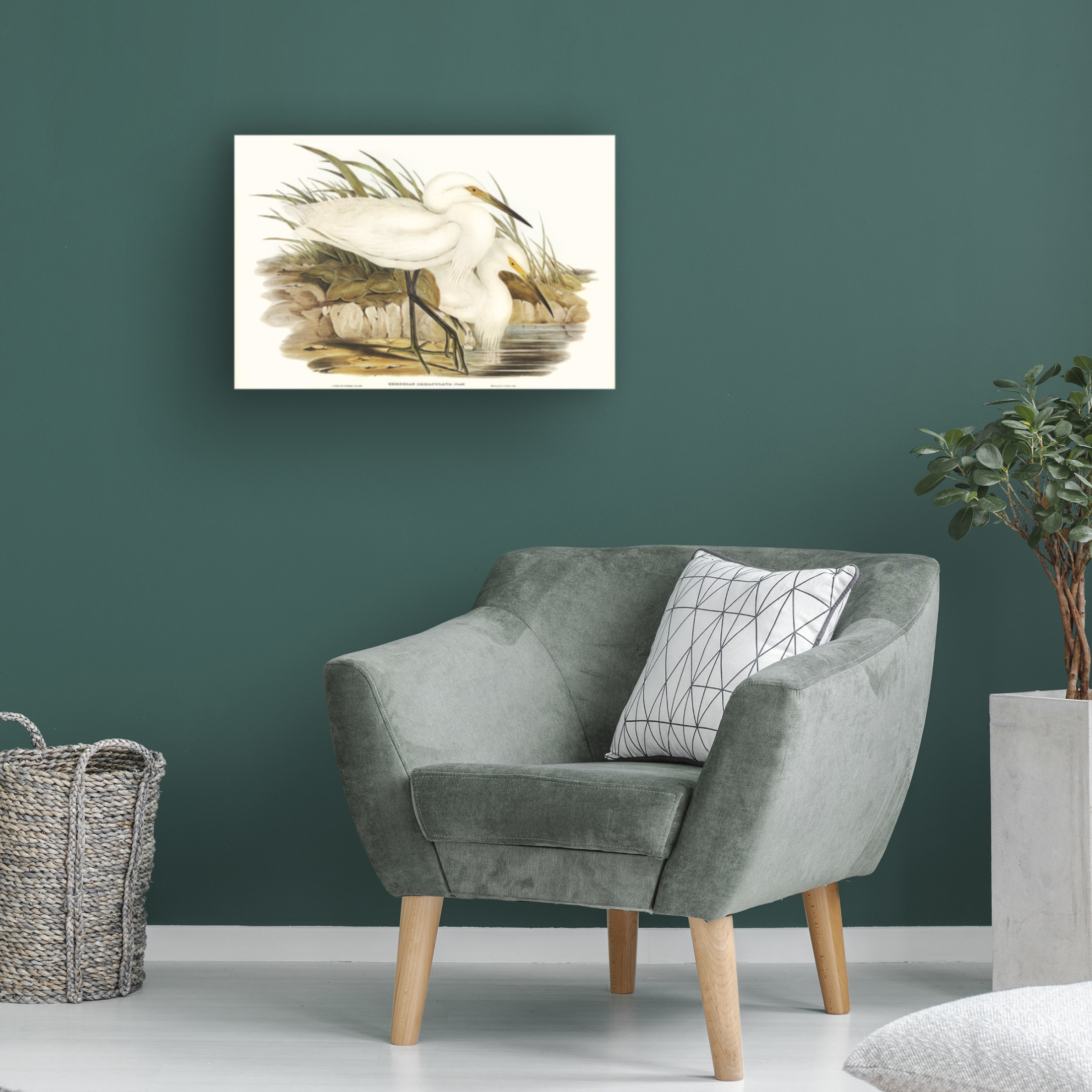 Trademark Fine Art Elizabeth Gould Waterbird Pairing I Canvas Wall Art