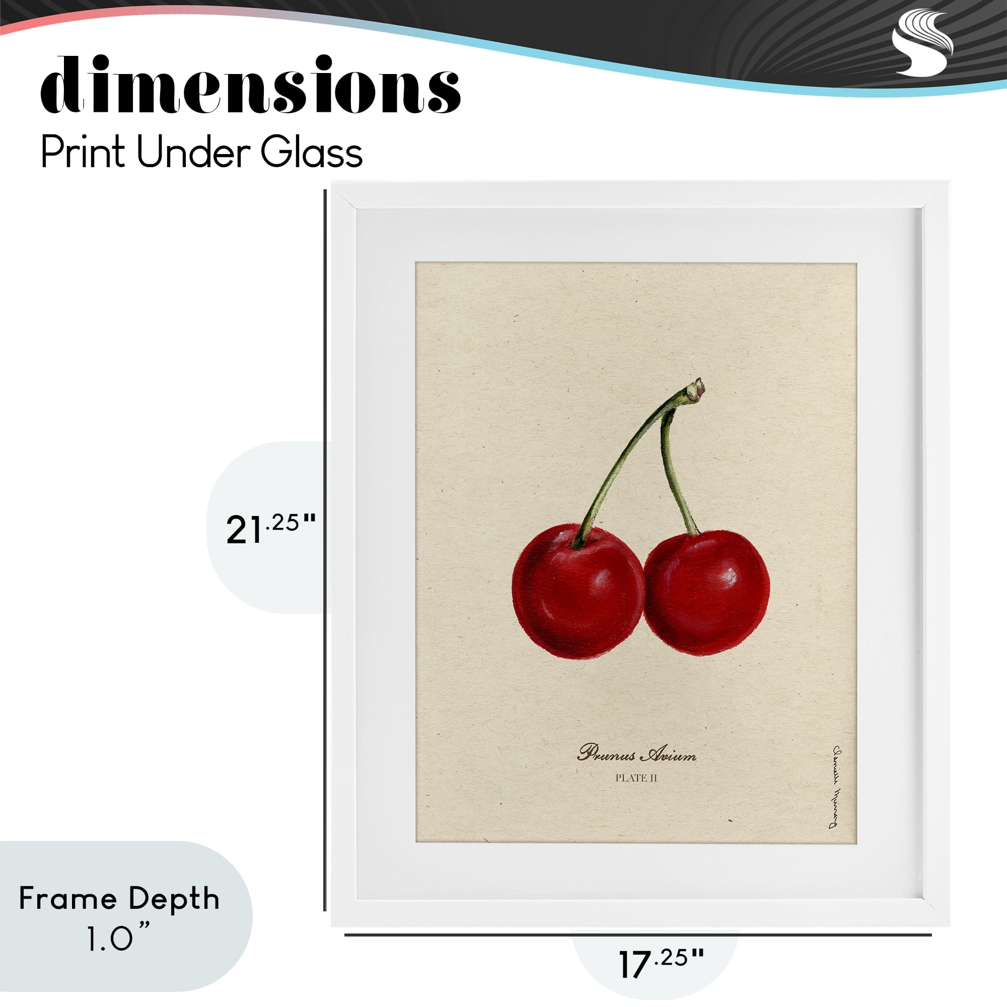 Stupell Industries Cherry Fruit Portrait White Framed Print Under Glass, design by Danielle Murray