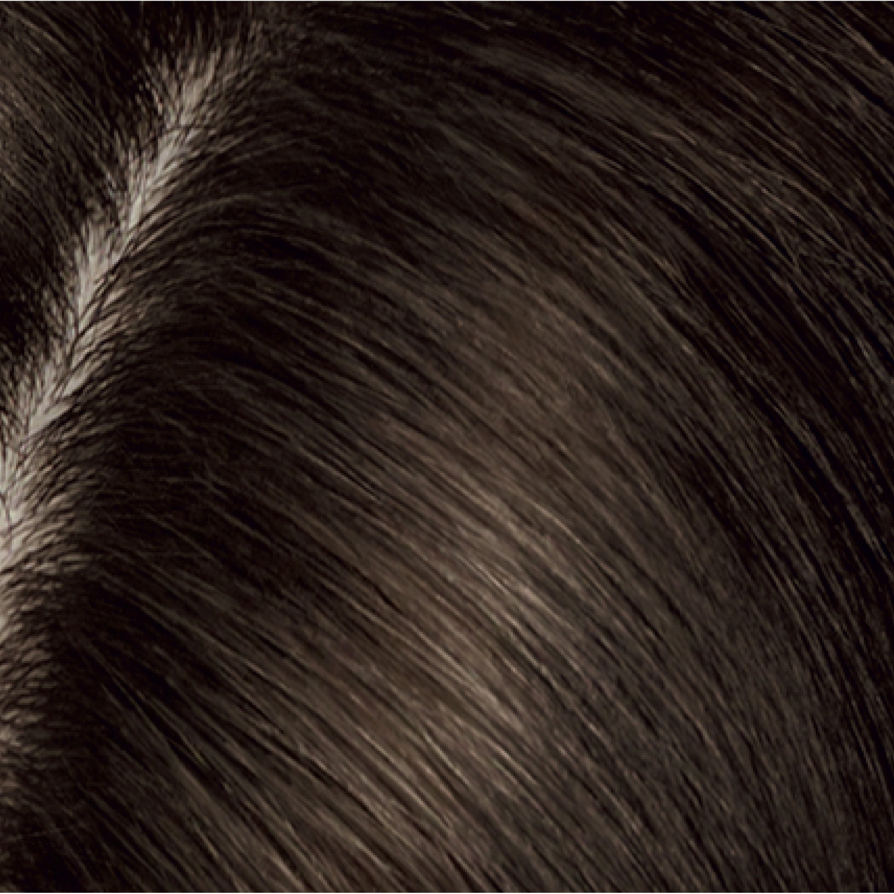 4 Dark Brown
