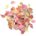 thumbnail image 4 of Bolsa De De Hojas Multicolor De 15g Para Accesorios De Bodas Sunnimix confeti de mesa hoja metálica, 4 of 8