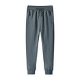 thumbnail image 1 of Men's Loose Casual Straight Leg Sports Pants For Spring Summer Autumn And Winter, 1 of 4