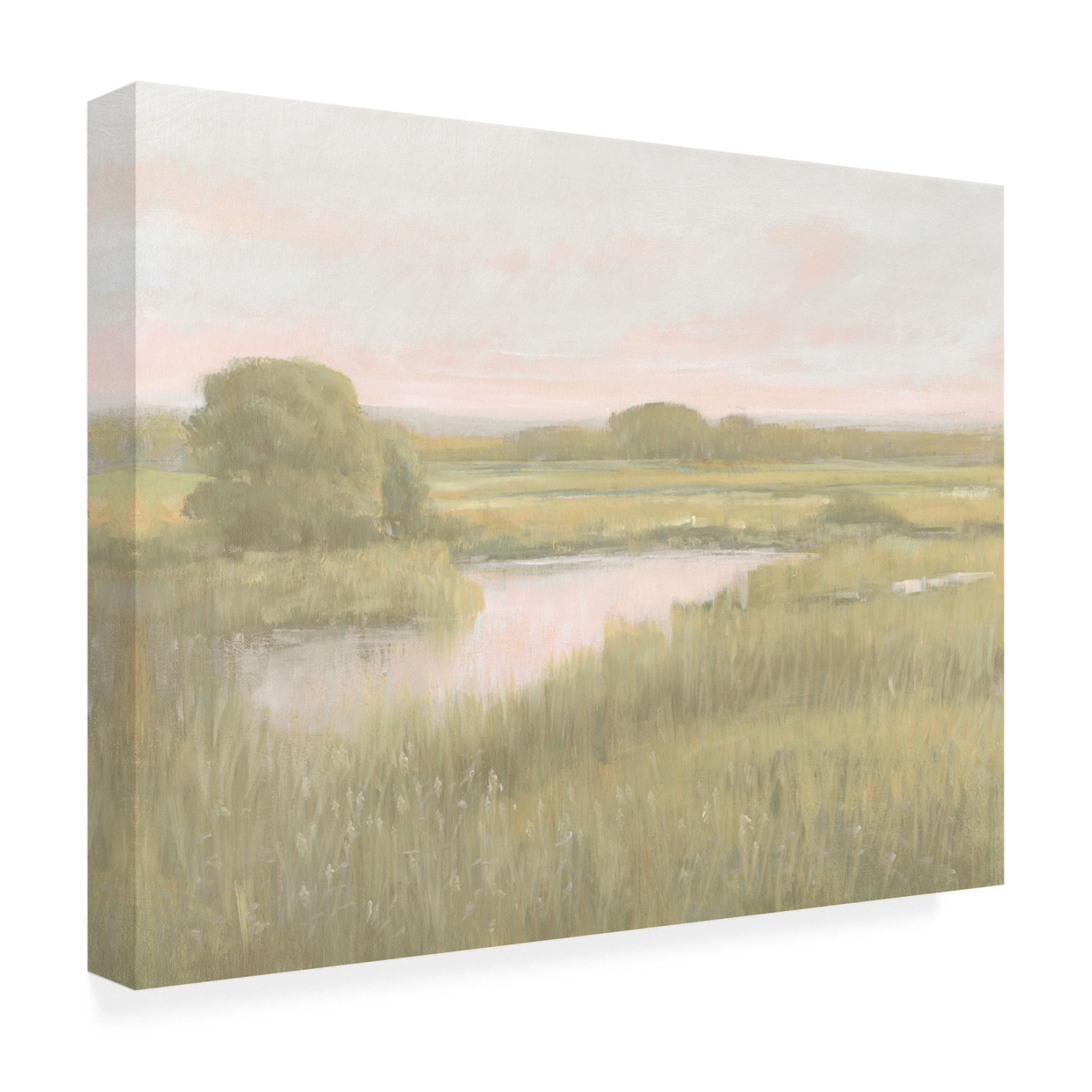 Trademark Fine Art Tim OToole Marsh Horizon at Dawn I Canvas Wall Art