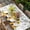 Gray, variant on Gnomes Sunflower Table Cloths for 4 Foot Rectangle Tables, Bees Branches Floral Farmhouse Patio Waterproof Elastic Fitted Tablecloths, Washable Rectangular Table Cover for Camping