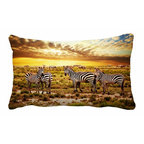 Phfzk Beautiful Sky Cloud Pillow Case Safari Zebras Herd On Savanna At Sunset Africa Pillowcase Throw Pillow Cushion Cover Two Sides Size 20x30 Inches Walmart Com Walmart Com