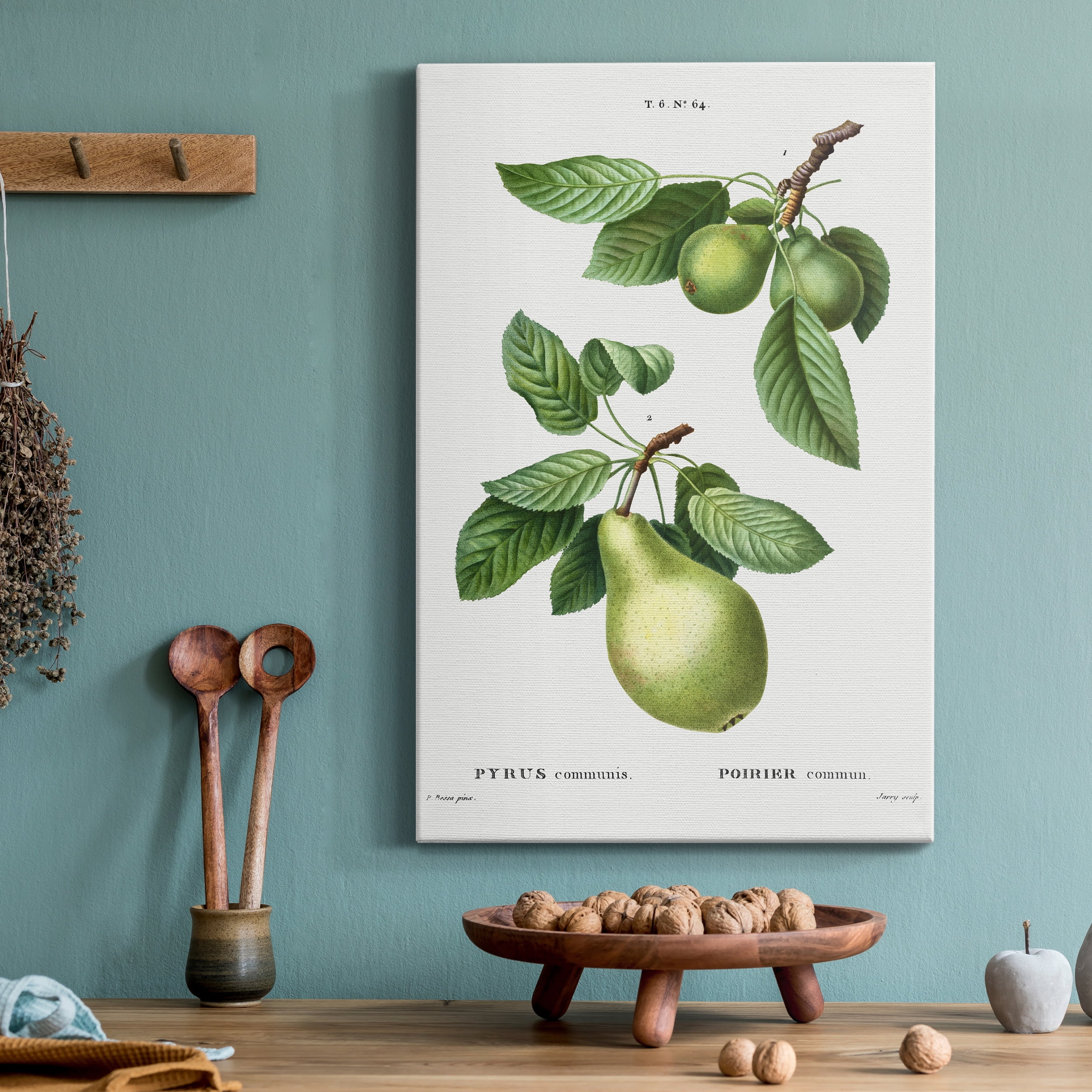 Pear, Pyrus communis from Traité des Arbres et Arbustes que l'on cultive en France en pleine terre Premium Gallery Wrapped Canvas - Ready to Hang - 12 x 18