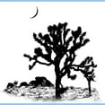 thumbnail image 3 of CafePress - Joshua Tree National Park T Shirt - Men's Classic Graphic T-Shirt, 3 of 4