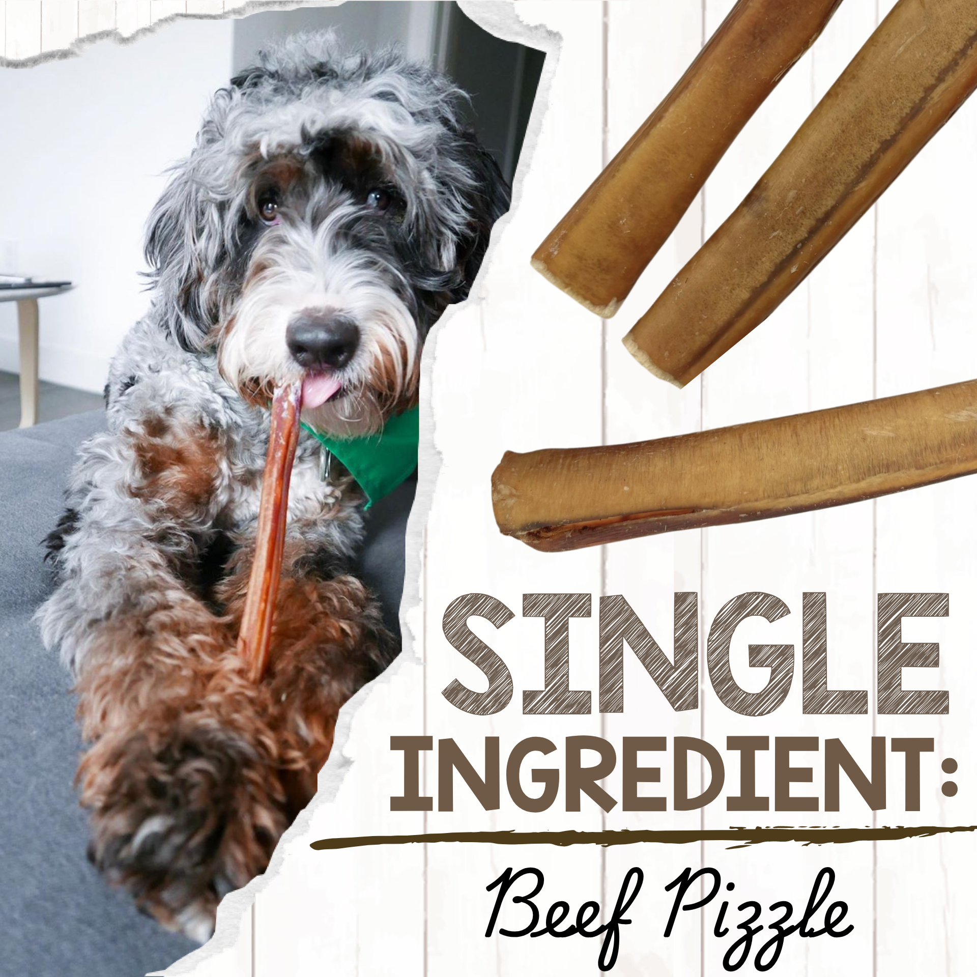 Nature Gnaws Large Bully Sticks, Natural Beef Dog Chews photo 3