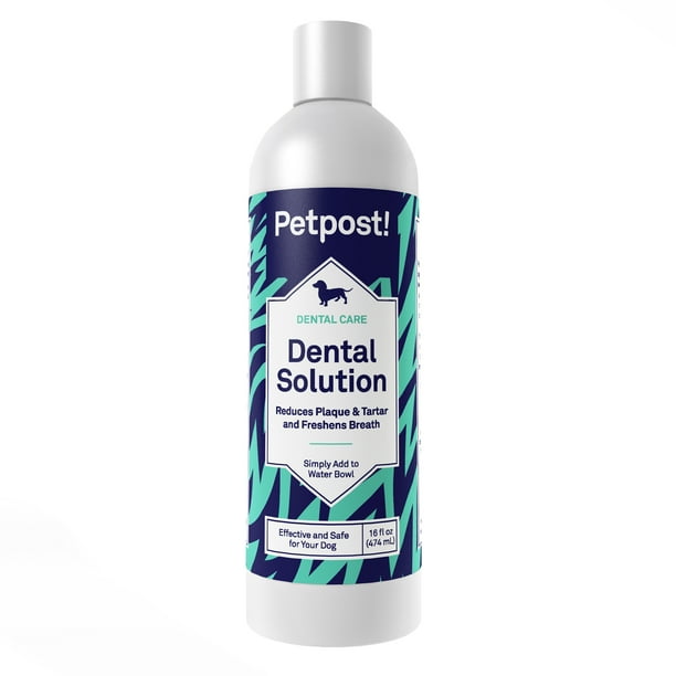 Petpost Dental Solution for Dogs Water Additive that Kills Bad