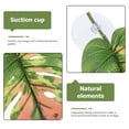 thumbnail image 3 of BRIGHTFUFU 6Ud Plataforma Para Reptiles Con Ventosas Hoja Monstera Artificial Para Terrarios Acuáticos, 3 of 7