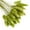 Green, variant on Dried Pampas Grass Decor Tall - Total 50 Stems - Multi - Color Small Pampas Grass Plants for Home Decor , Wedding and Events Arrangements