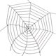 thumbnail image 5 of New Black Spider Web / Cobwebs for Decor CUTICAT Víspera de Todos los Santos, 5 of 7