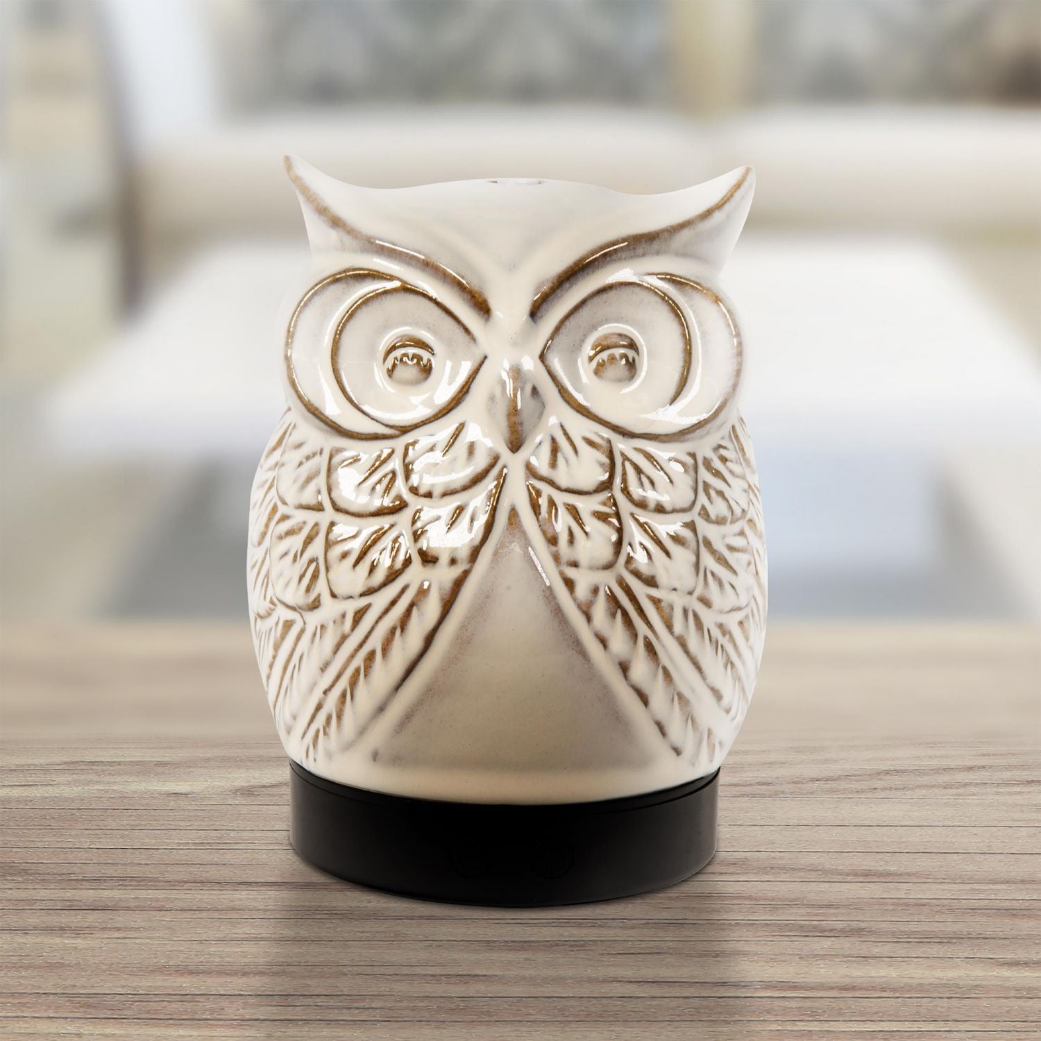 Simply Essential Diffuser Set - Owl, Cool Misting Diffuser & Oils