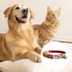 thumbnail image 3 of Productos para mascotas, (caleidoscopio de diamantes) Collar para gatos, collar para perros, correa para gatos, gatos, gatitos, 3 of 5