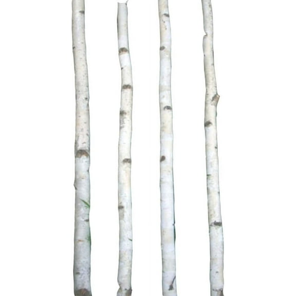 Four Thin White Birch Poles 4 ft