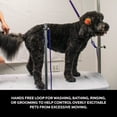 thumbnail image 3 of Groomers Helper Professional Loop Black, 3 of 5