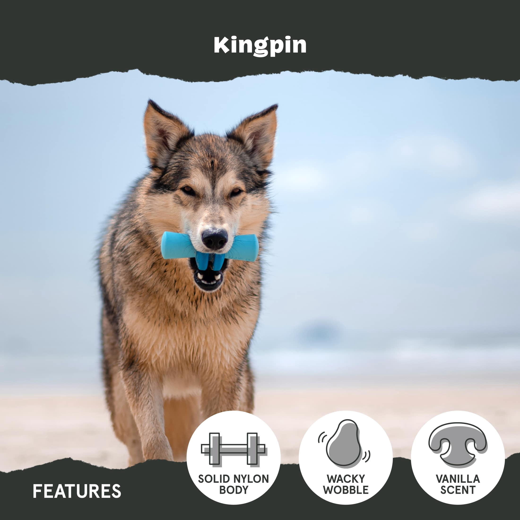 BARK Kingpin Super Chewer Nylon & Rubber Dog Toy, Large