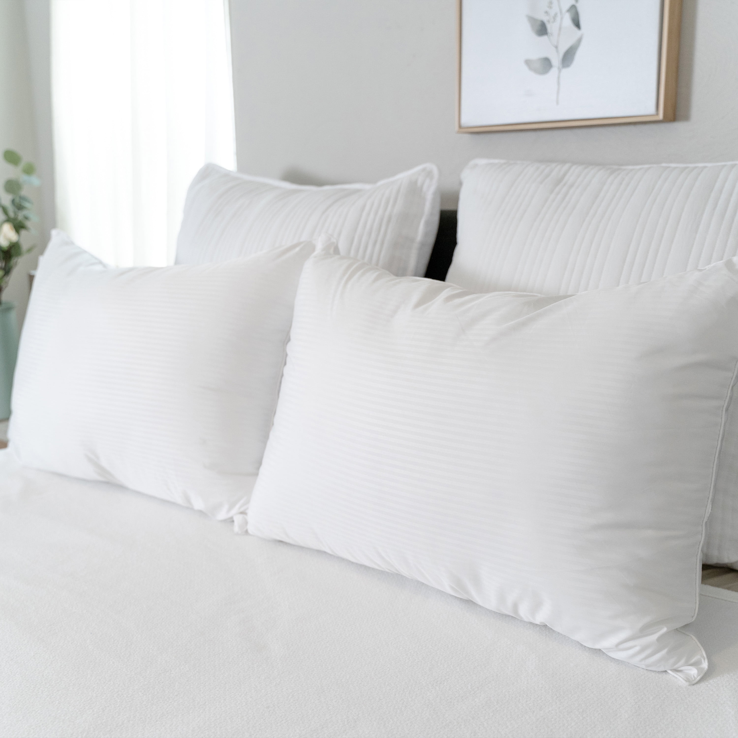 Allersoft queen 2 pack allergy and cheap bed bug proof pillow cover white