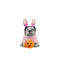 Scary Pinks Bunny Dog Halloween Kitchenware Micro Landscapes DIY