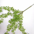 thumbnail image 4 of Artificial Hanging Succulents,29.53 Inch Fake String Of Pearls Greenery Plants,Fake Pearls Trailing Succulents,Decoration Fake Hanging Plants for Wall, Home, Garden, Indoor and Outdoor,Z_Green, 4 of 8
