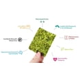 thumbnail image 5 of gimMe Organic Premium Roasted Seaweed Sea Salt Chips, 0.35 Oz., 5 of 13