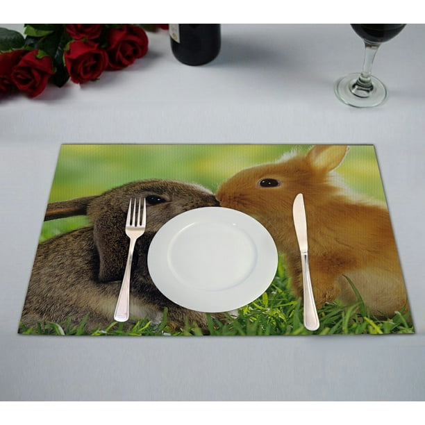 GCKG A pair of cute fluffy bunny Rabbits Placemat 12x18 inches Set of 2