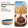 thumbnail image 4 of Homienly Wheat Straw Deep Dessert Dish, 6 pcs 8 inch, Reusable Unbreakable Tableware, Microwave Dishwasher Safe for Cake Snack Kitchen Use, Plastic Plates, Multi Color, 4 of 7