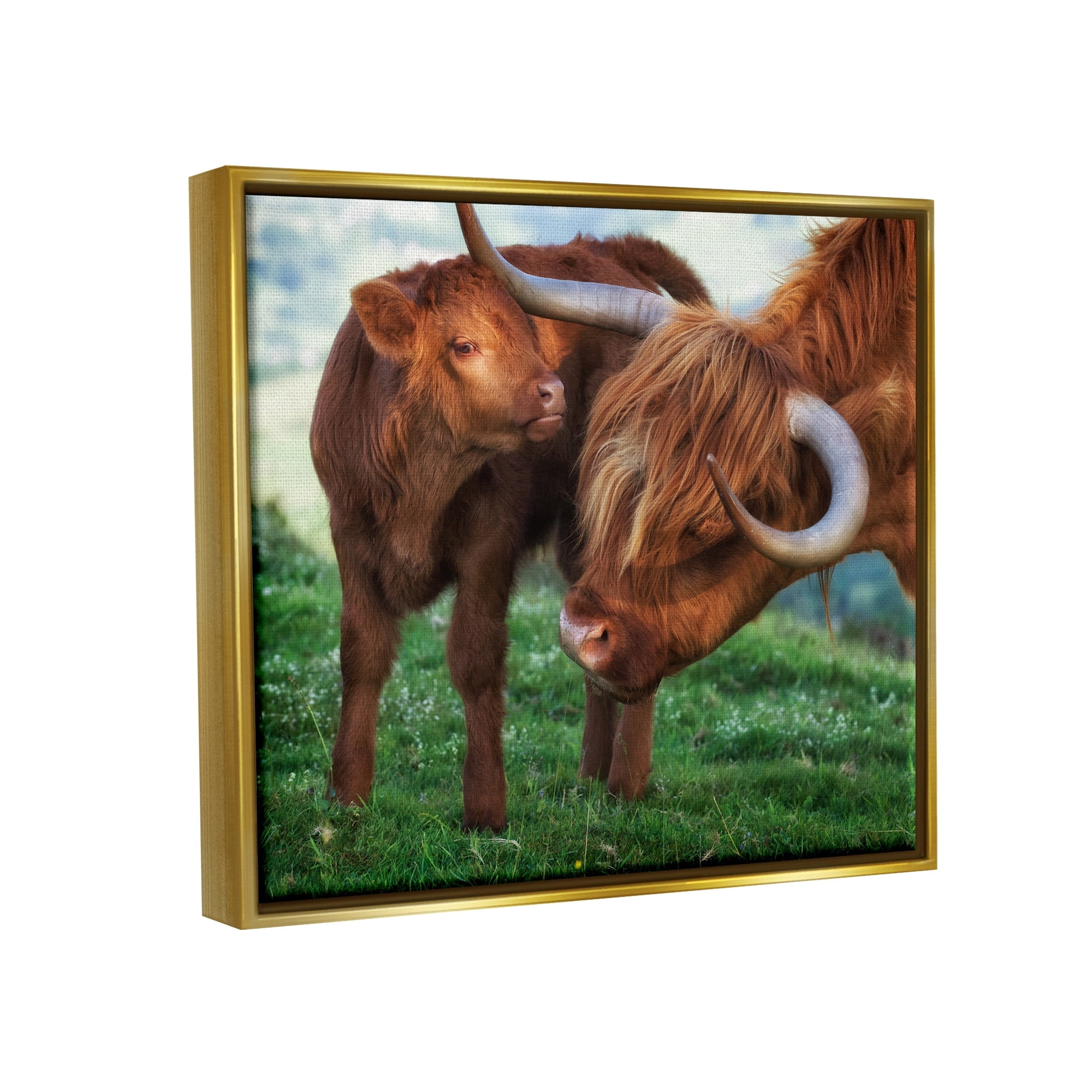 Stupell Industries Loving Longhorn Cattle Nuzzling Calf Heartwarming Animals Photograph Metallic Gold Floating Framed Canvas Print Wall Art, Design by James Dobson