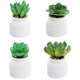 thumbnail image 1 of 4 Uds simulación suculentas bonsái pequeños adornos creativos plantas verdes artificiales, 1 of 5