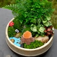 thumbnail image 1 of Houderco 30Ud De Falsa En Resina Decorativa Multicolor Para Ambientar Y Manualidades, 1 of 6