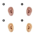 thumbnail image 3 of 2 Pair Silicone Ear Model, Left and Right Soft Flexible Model prosthetic Ear Piercing Practice, Silicone Body Parts for Earring Jewelry Display, Acupuncture Teaching Tool, 3 of 7