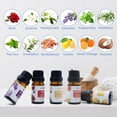 thumbnail image 2 of 12 Natural Essential Oils Set, Organic Fragrance Oil Essential Oils for Diffuser for Home, Candle Scents, Aromatherapy - Lavender, Eucalyptus, Tea Tree, Rose, Vanilla, Sandalwood and More, 2 of 4