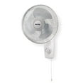 Air King 9012 Commercial Grade Oscillating Wall Mount Fan, 12Inch