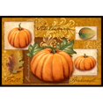 thumbnail image 1 of Carolines Treasures Automne Récolte Citrouilles Intérieur et Extérieur Mat&44; 24 x 36 Po., 1 of 1