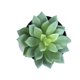 thumbnail image 2 of Simulaciones Mini suculentas Plantas artificiales de plástico falso Decoraciones para la sala de estar del jardín del hogar Advancent JJ18127-03, 2 of 6