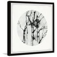thumbnail image 2 of Parvez Taj Winter Branch Framed Wall Art, 2 of 6