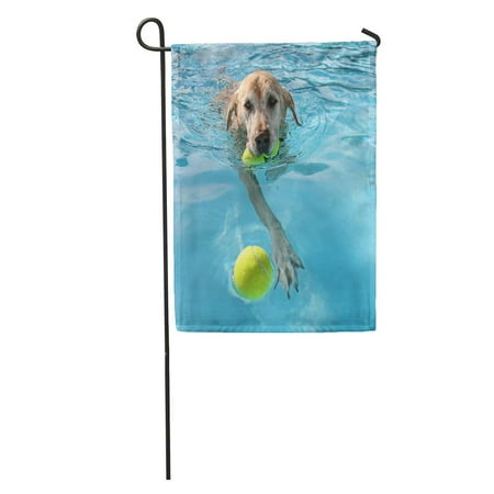 KDAGR Yellow Labrador Dog at Local Public Pool Blue Summer Lab Ball Best Garden Flag Decorative Flag House Banner 12x18 (Best Food For Yellow Labs)