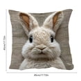 thumbnail image 3 of HuiXinOu Easter Printed Pillow Cover, Bunny Faux Embroidery Sofa Cushion, Holiday Home Decor for Spring Living Room, 3 of 6