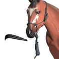 thumbnail image 2 of 29BH Western Horse Halter Tack Braided Poly Rope Leadglitter Silver Hilason, 2 of 8