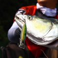 thumbnail image 4 of 13cm Artificial 3D Eye Fish Bait Sea Fresh Water Fishing Lures with Hook (White & Green), 4 of 4