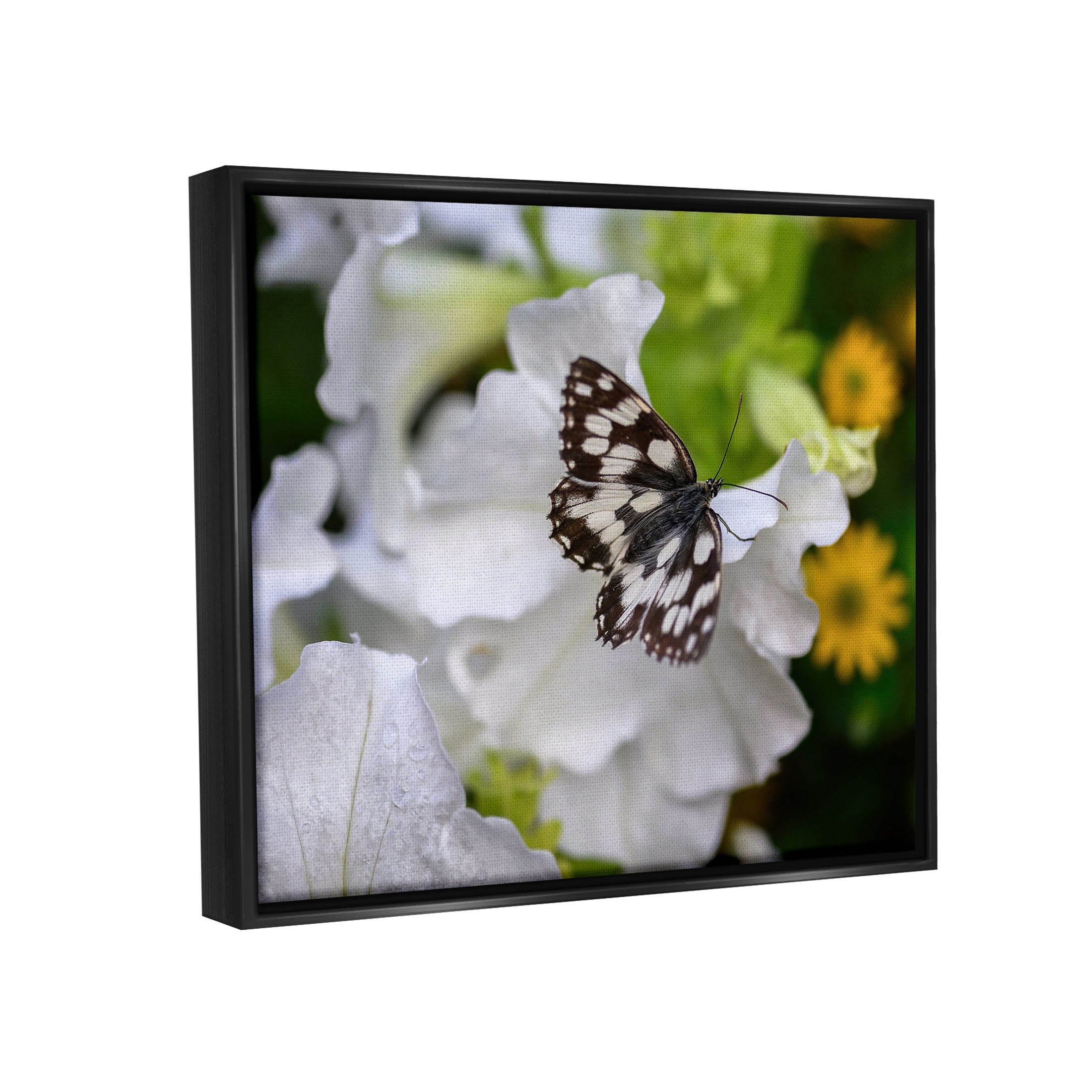 Stupell Industries Butterfly Geranium Blossom Photograph Jet Black Floating Framed Canvas Print Wall Art, Design by Daphne Polselli
