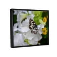 thumbnail image 3 of Stupell Industries Butterfly Geranium Blossom Photograph Jet Black Floating Framed Canvas Print Wall Art, Design by Daphne Polselli, 3 of 6
