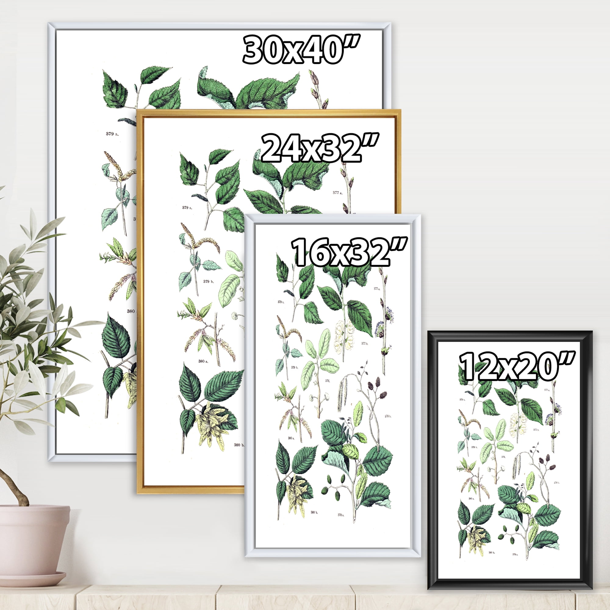 Designart 'Ancient Botanicals VIII' Traditional Framed Canvas Wall Art Print