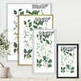 thumbnail image 4 of Ancient Botanicals VIII 16 in x 32 in Framed Painting Canvas Art Print, by Designart, 4 of 5