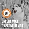 Rawbble Dry Dog Food, Chicken, 4 lbs USA Made with Fresh Meat No