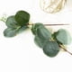 thumbnail image 4 of 20Pieces/lot Artificial Plant Silk Plastic Flowers Eucalyptus Leaves Stems Branches Floral Bouquets Wreath Arrangement Home Table Garden Wedding Green, 4 of 5