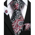 thumbnail image 2 of Barry.Wang Paisley Ties for Men Flower Silk Necktie Set with Handkerchief Cufflinks Wedding Party Business, 2 of 6