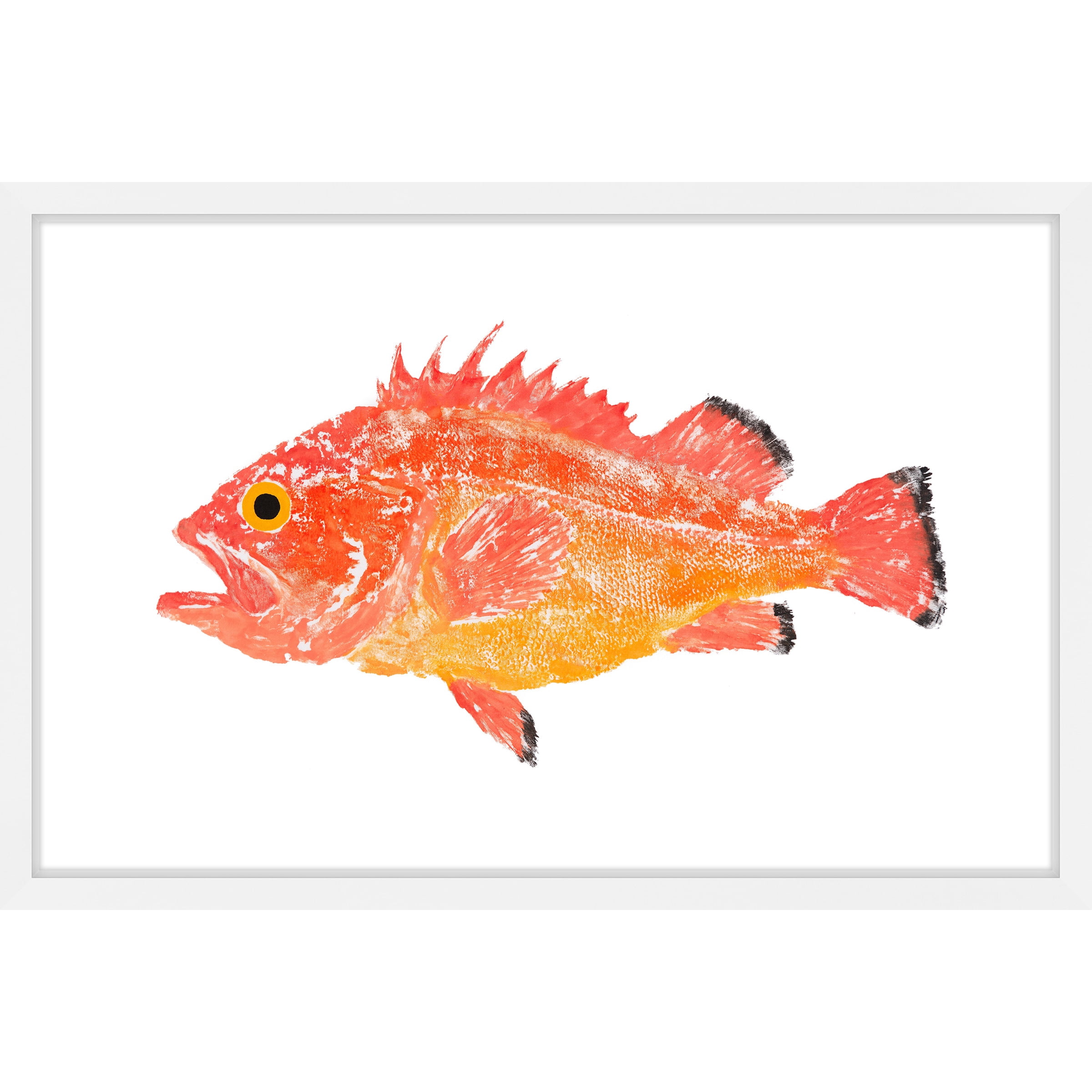 Marmont Hill "Orange Spiney Fish" by Michael Pantalos Framed Painting Print