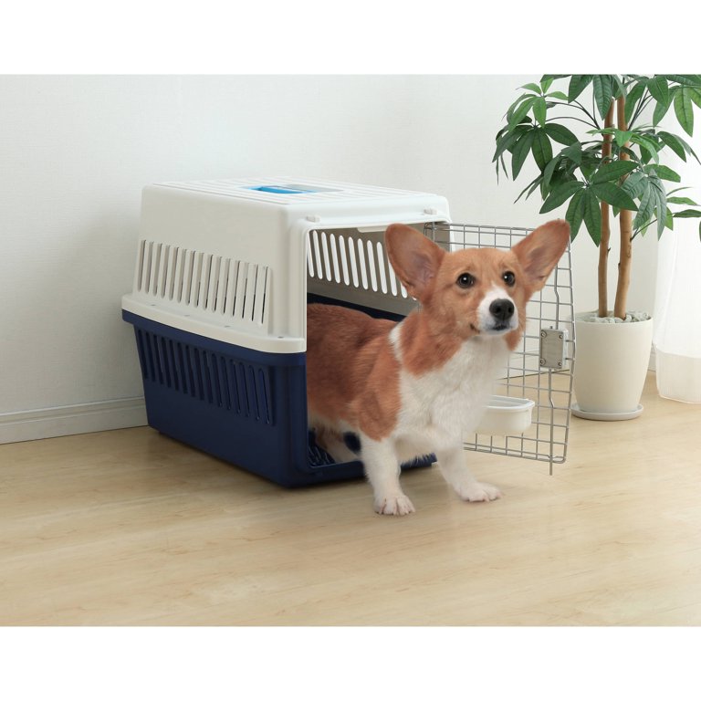 Collapsible Pet Carrier Cat Kitten Puppy Travel Carrier Plastic Crate 18x  14