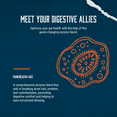 thumbnail image 2 of Pure Digestive Enzyme Capsules with Lipase Amylase Protease - Aids Digestive System Natural Immune System Booster - Breaks Down Carbohydrates Reduce Bloating Gas Digestive Enzymes Pills, 2 of 6